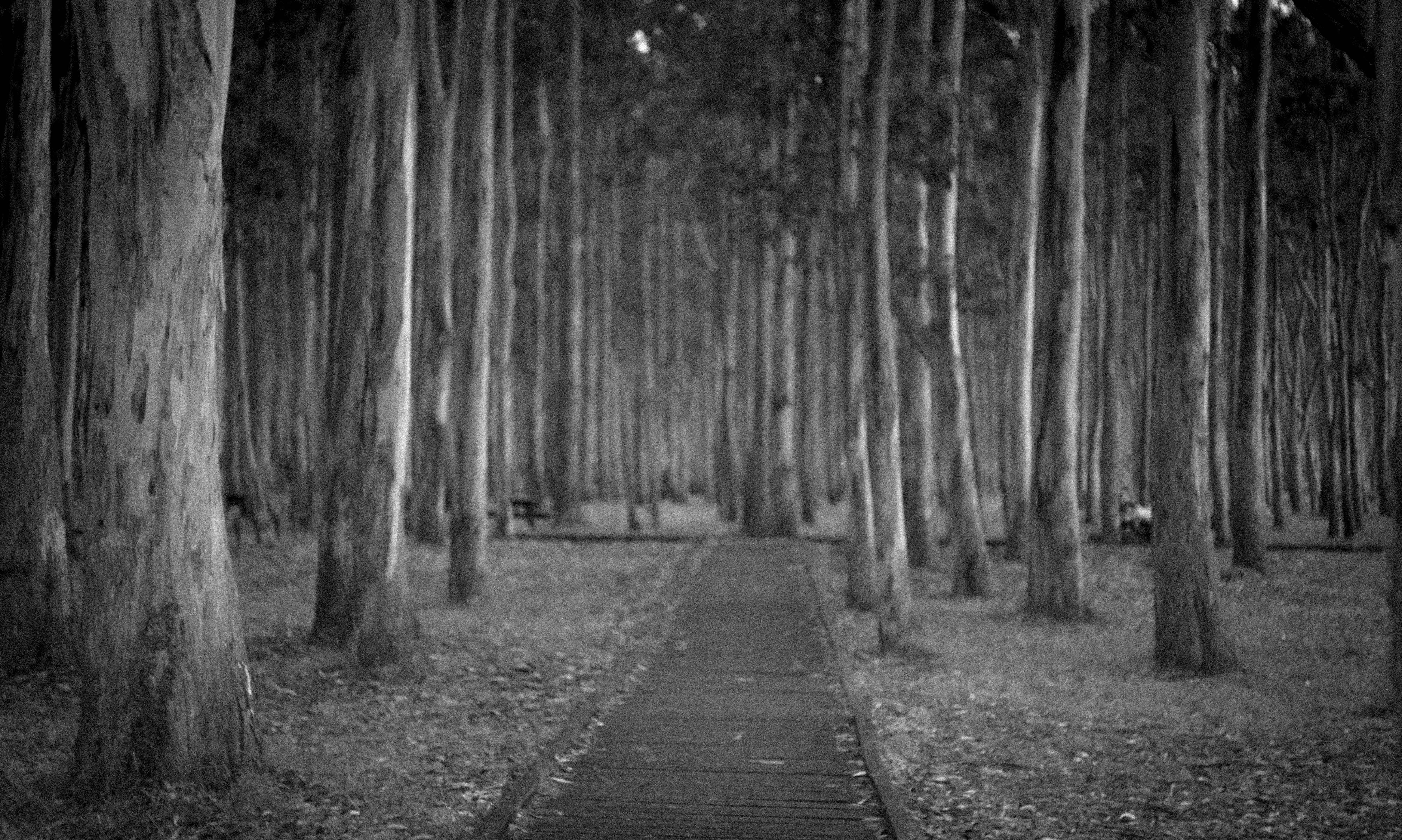 Naturaleza